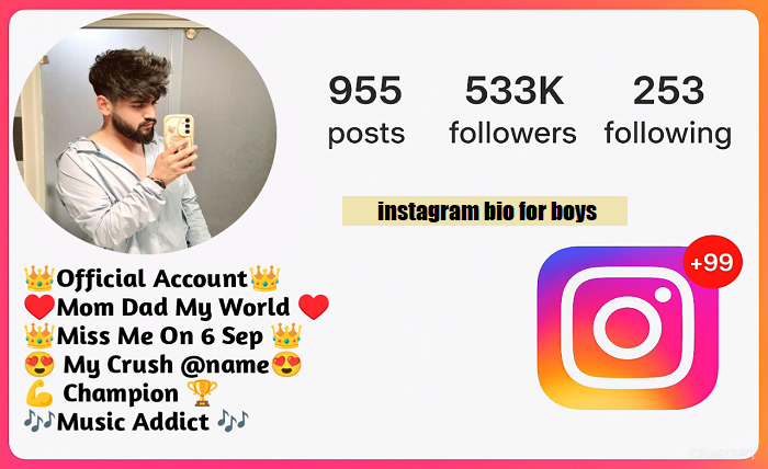 instagram bio for boys